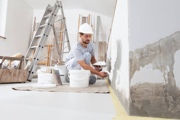 Best Mold Documentation for Insurance Claims  in Mccoll, SC