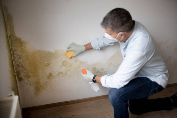 Best Airborne Mold Testing  in Mccoll, SC