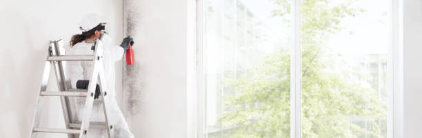 Best Mold Removal for HVAC Installations  in Mccoll, SC