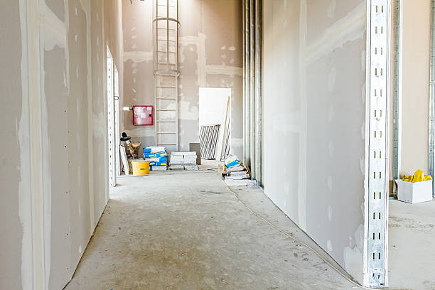 Best Real Estate Mold Inspection  in Mccoll, SC